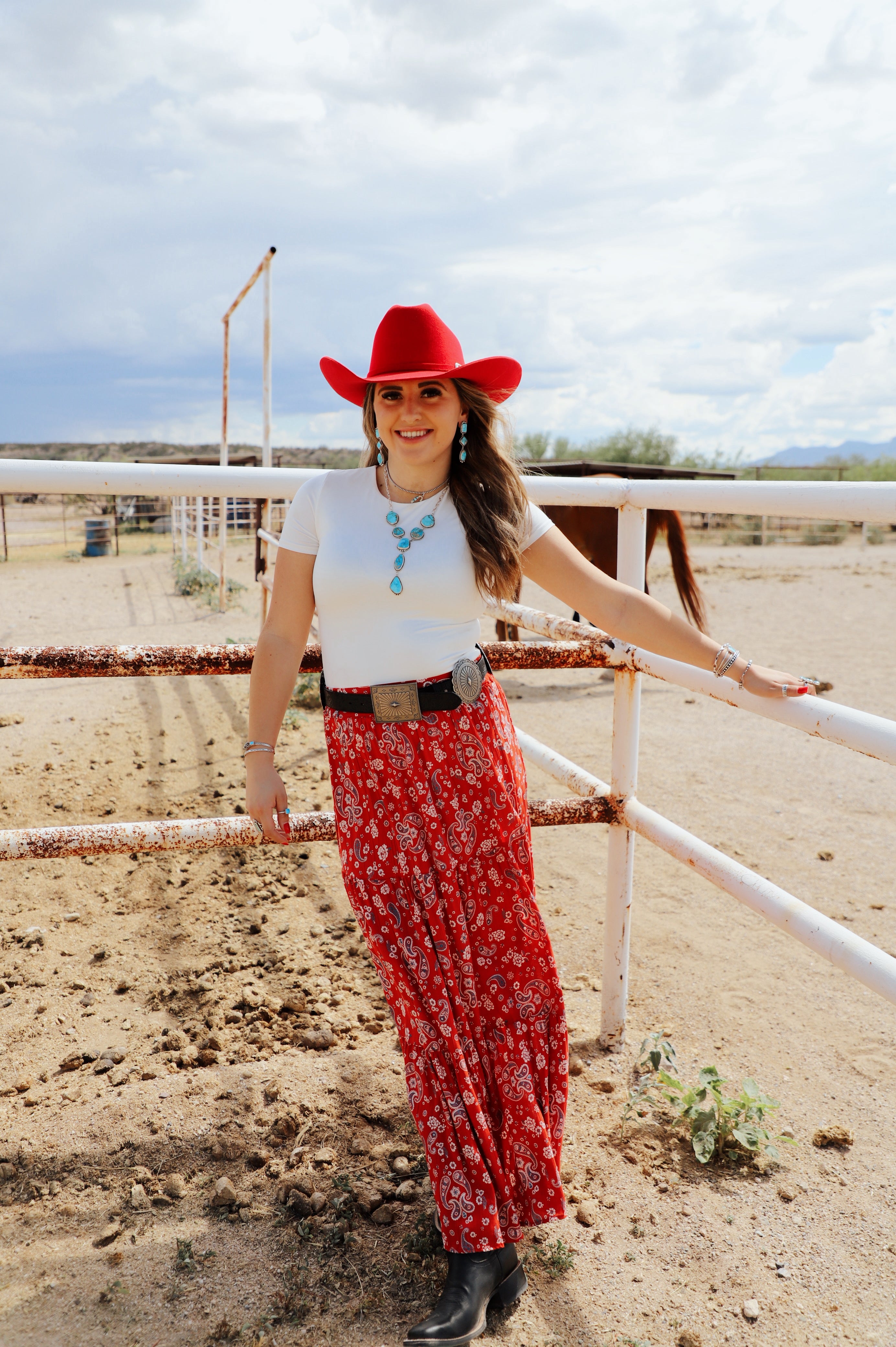 The Shannon Paisley Skirt