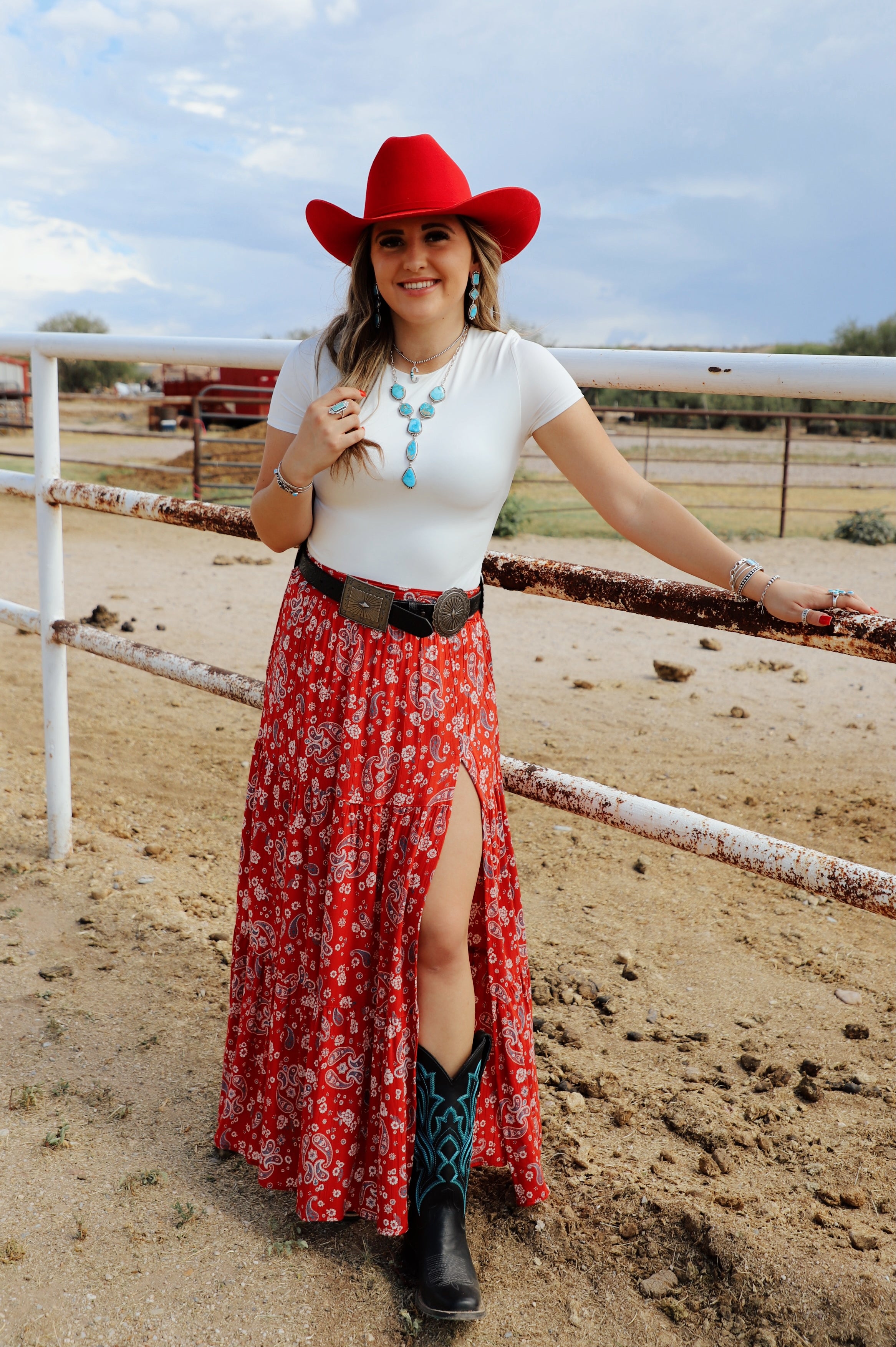 The Shannon Paisley Skirt