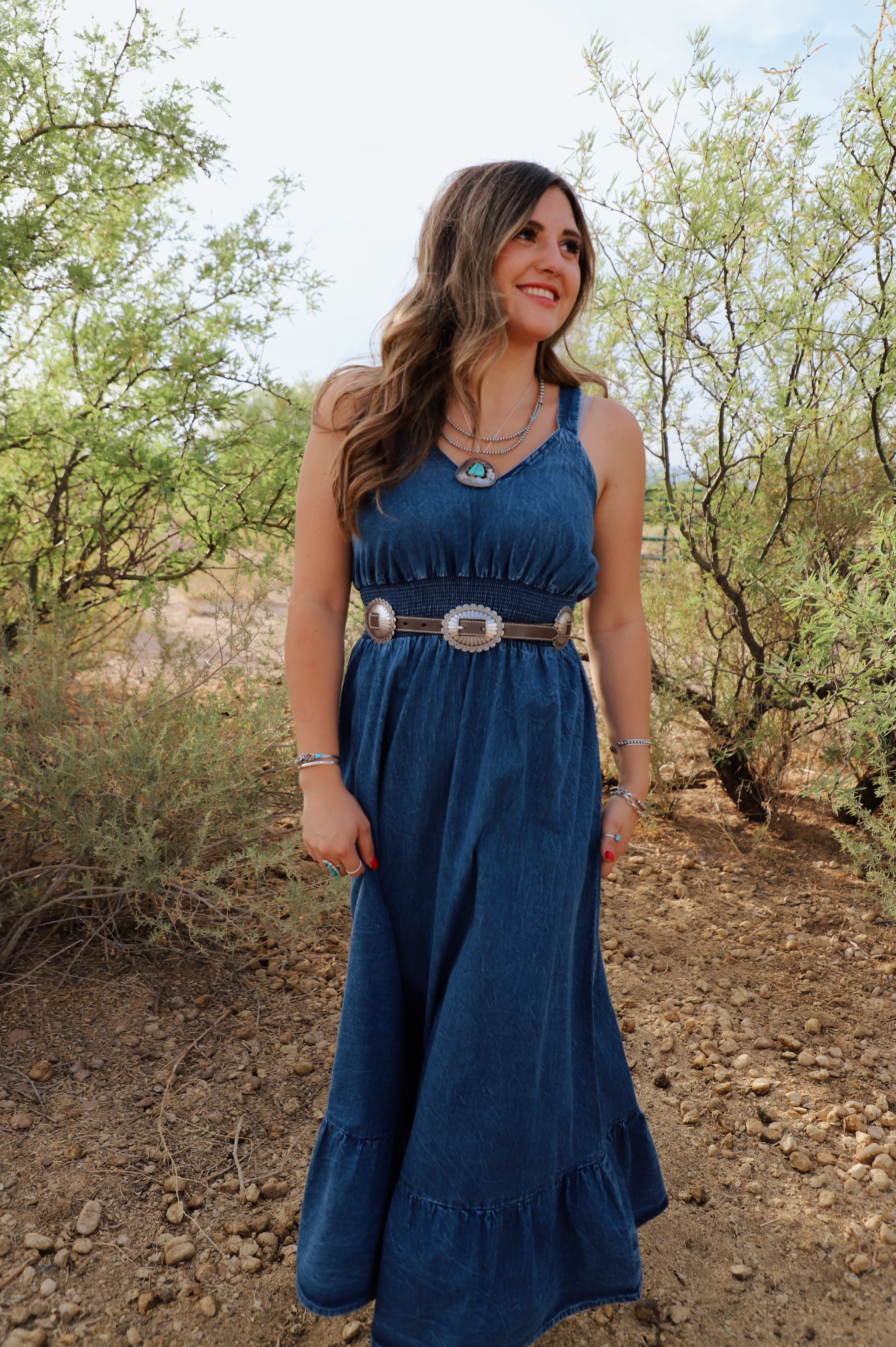 The Emmie Denim Dress