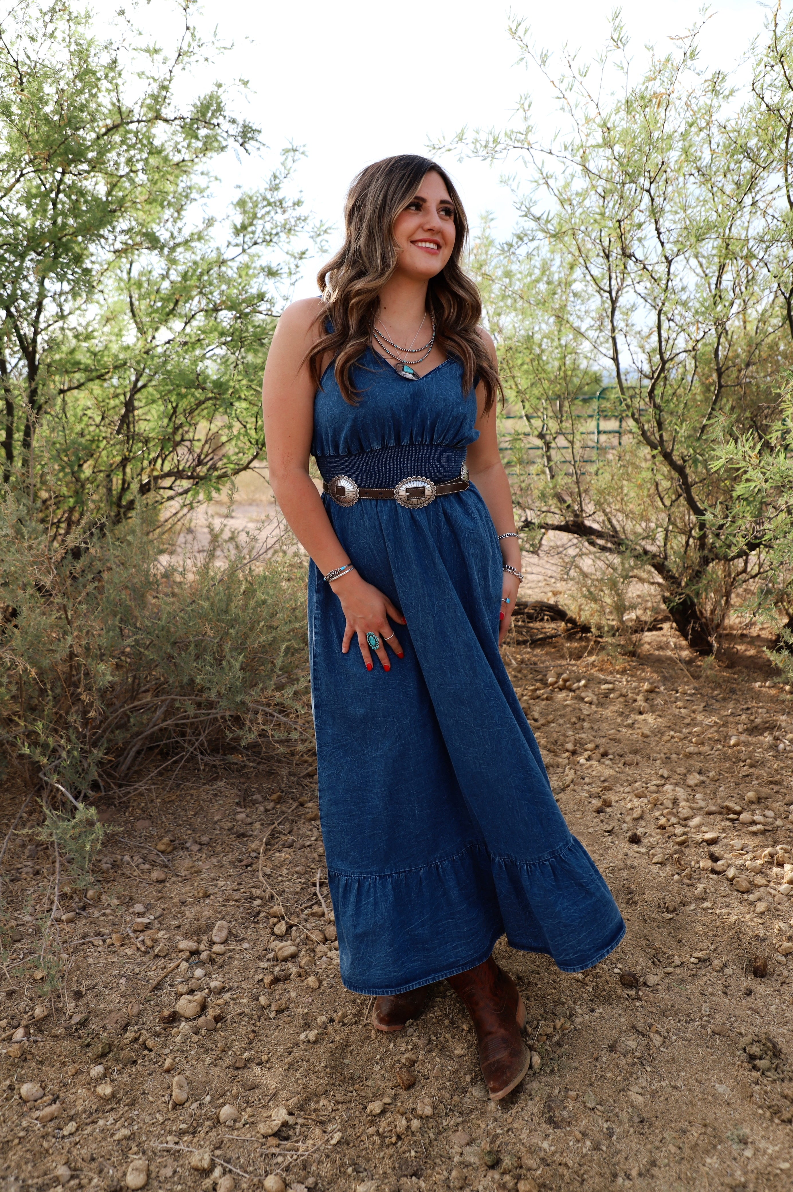 The Emmie Denim Dress